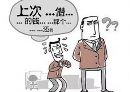 礼泉企业清欠服务